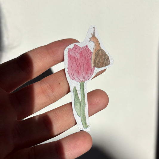 Snail Sticker