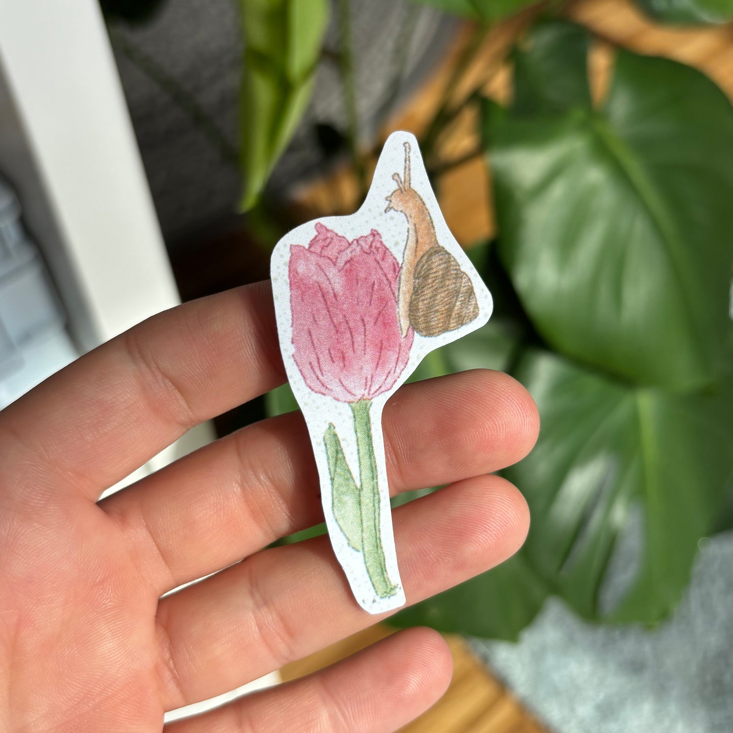 Snail Sticker