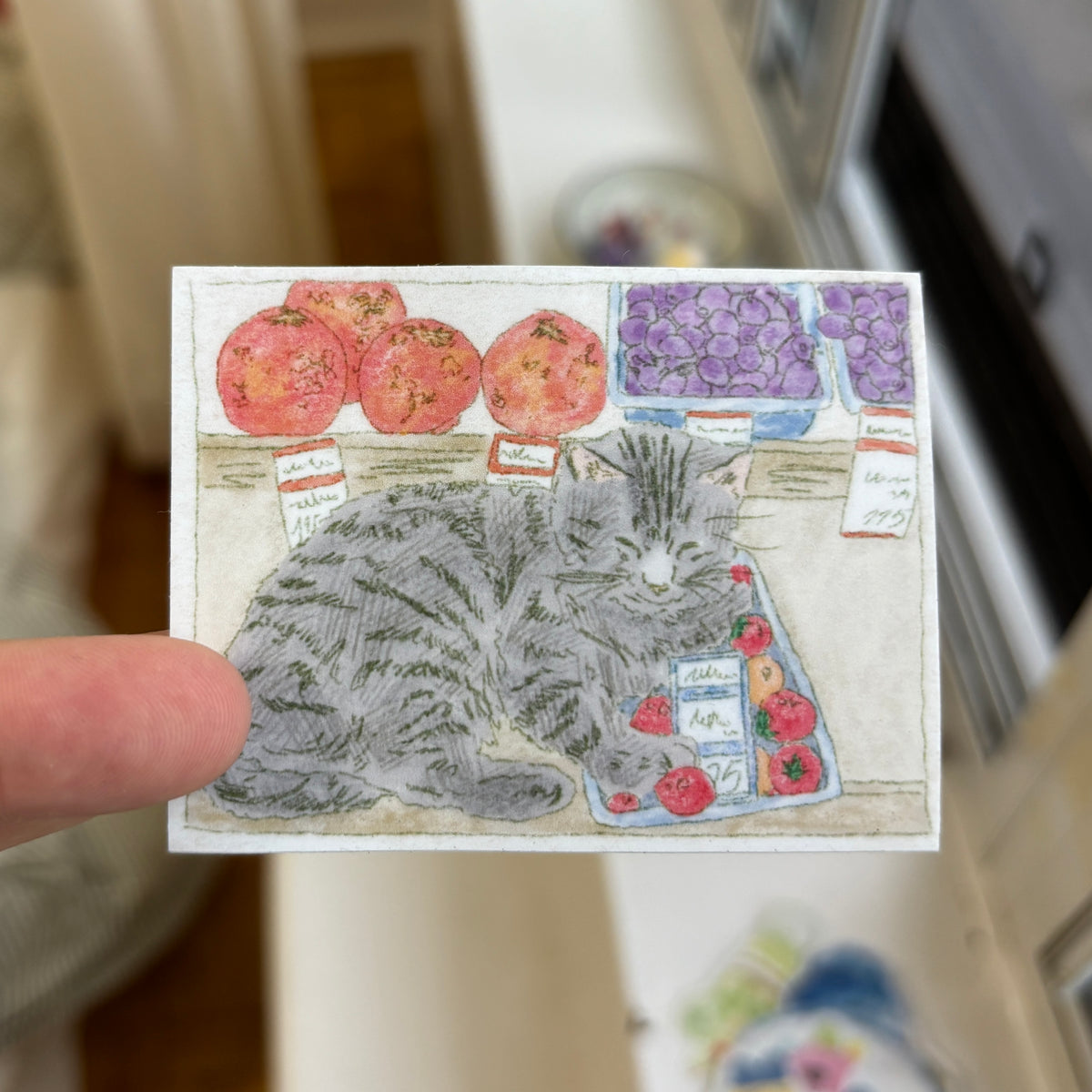 Cat Sticker