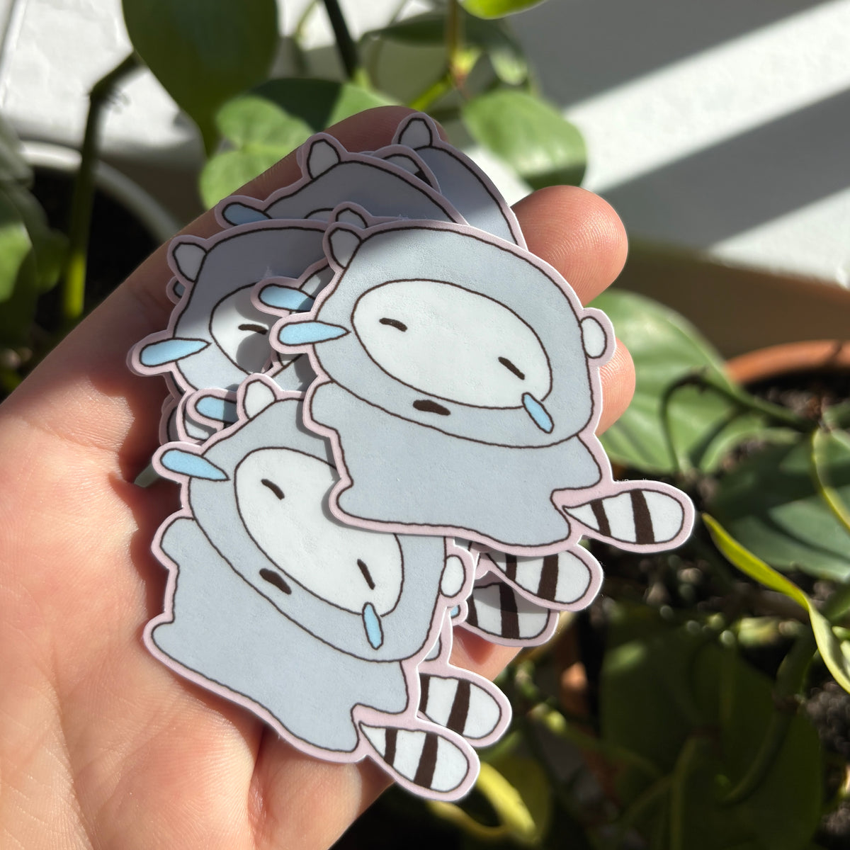 Crying Mapache Sticker