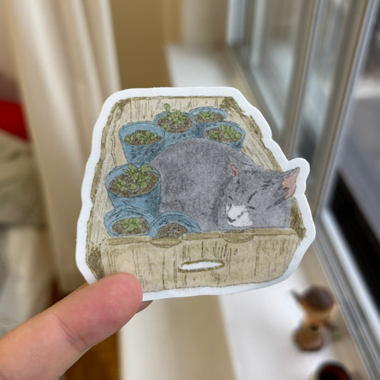 Cat in a box Sticker