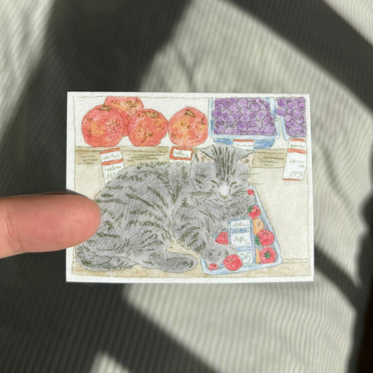 Cat Sticker