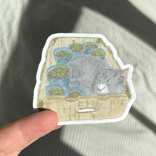 Cat in a box Sticker